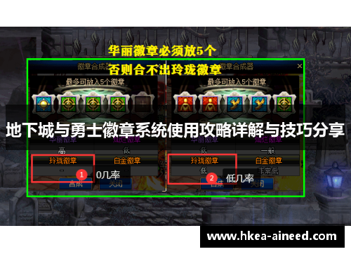 地下城与勇士徽章系统使用攻略详解与技巧分享